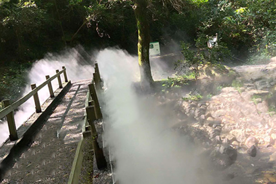 生態園林噴霧造景解決方案